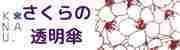 かなうーさくらの透明傘ー