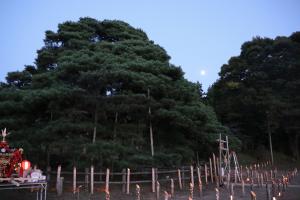 ほづみ松の祭典の松の写真