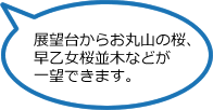 展望台からお丸山の桜、早乙女桜並木などが一望できます。