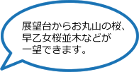 展望台からお丸山の桜、早乙女桜並木などが一望できます。