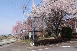 露天風呂入口公園の写真1