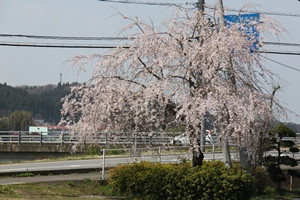 さくら市社会福祉協議会本部の写真