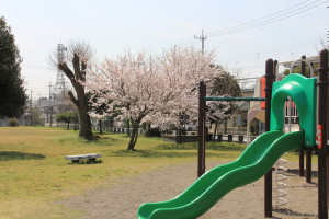 草川第2公園・草川公民館の写真1