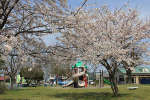 草川第2公園・草川公民館の写真2