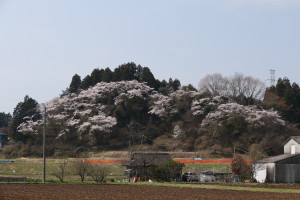 箱森権現山の写真