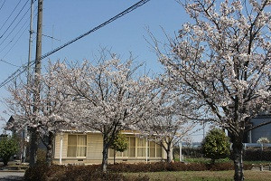 川原町自治公民館前の写真