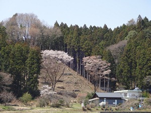 鳴神山付近の写真