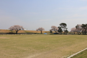 鬼怒川運動公園の写真2