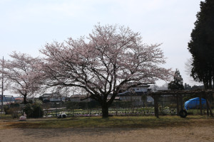 上河戸公民館の写真2