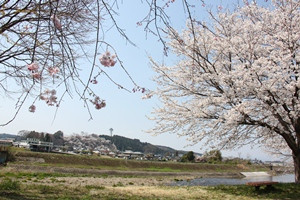 旭橋公園の写真1