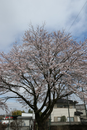 三嶋神社・蒲須坂公民館の写真1