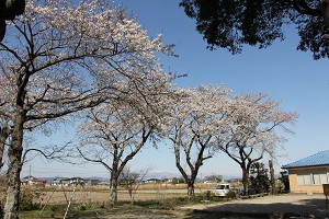 雷神社（下新田）の写真2