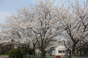 喜連川南公民館の写真