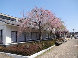 喜連川図書館の写真