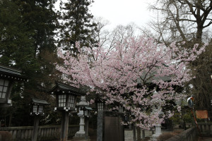 今宮神社の写真1