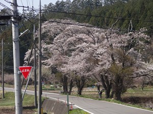 穂積沼畑地内の写真