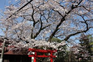 稲荷神社（五行川）の写真2