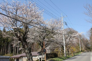 根本公民館の写真