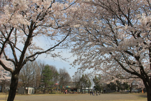 風の丘公園の写真2