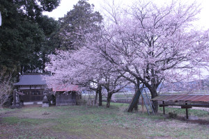 星宮神社（狭間田）の写真