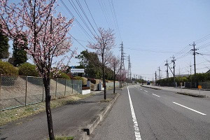 工業団地幹線2号の写真