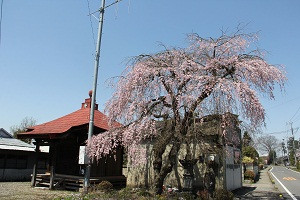 薬師堂（長久保）の写真