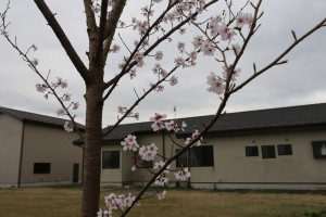 横町公民館の写真2