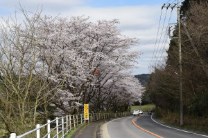 市道喜連川小入線の写真1