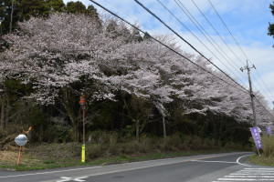 市道喜連川小入線の写真2