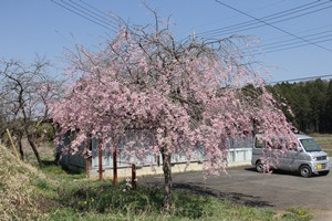 穂積一本木公民館の写真