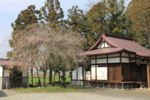 氏家新田公民館の写真1