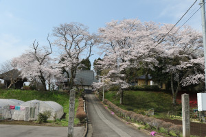 松岩寺の写真