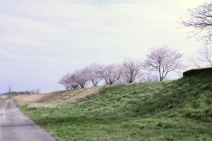 一里塚の写真