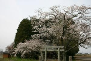 徳宮神社の写真2