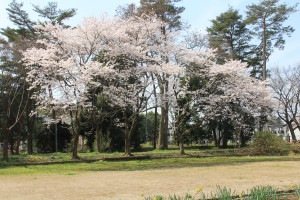 草川第1公園・向河原公民館の写真2