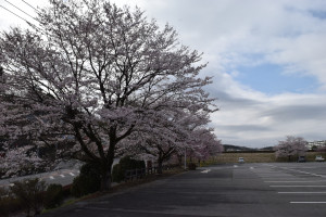 菖蒲沢公園の写真