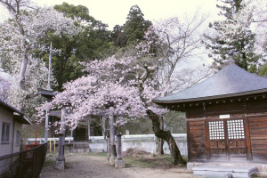 大日堂の写真