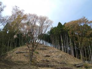鳴神山の写真