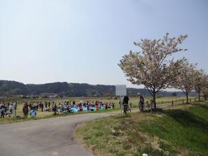 一葉桜お花見会の写真1