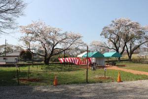 やひょう桜公園の写真1