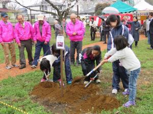 やひょう桜公園の写真4