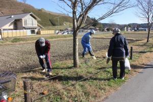 荒川桜づつみ施肥の写真2