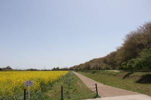 幸手市権現堂公園の写真3