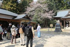 稲村神社の写真1