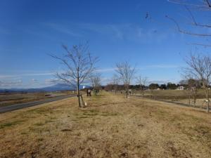 鬼怒川桜づつみ施肥活動の写真2