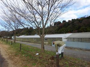 荒川施肥活動の写真2