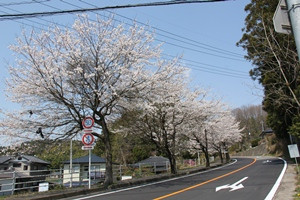 工業団地幹線1号の写真