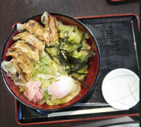 餃子の写真2 餃子の写真2