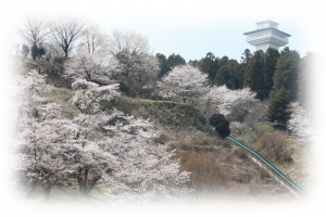 お丸山公園の写真1