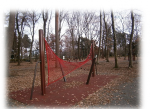 総合公園の写真3